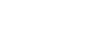 Puntoservice